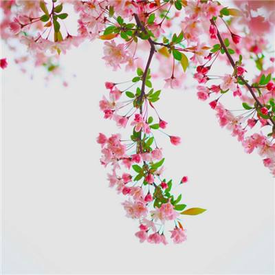 银河国际galaxy下载手机版